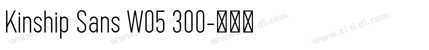 Kinship Sans W05 300字体转换 Kinship Sans W05 300字体转换
